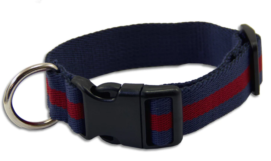 Household Division Dog Collar – Scots Guards